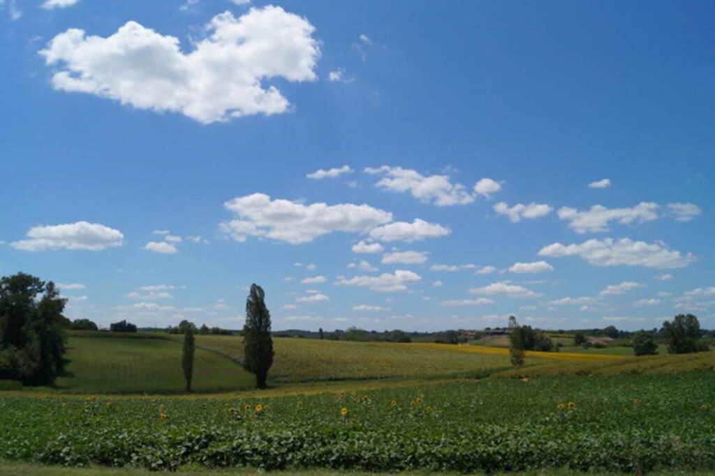 Gite Rural Saint-Pierre-sur-Dropt Exteriér fotografie